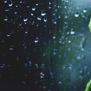 Meet your Posher, Jaya